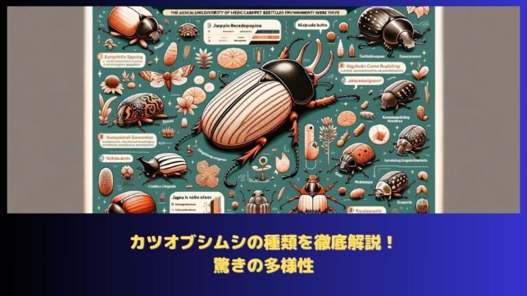 カツオブシムシの種類を徹底解説!驚きの多様性 シンの読み物。